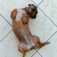 La joyeuse nany ! #0