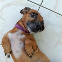 La joyeuse nany ! #6