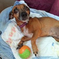 La joyeuse nany ! #8