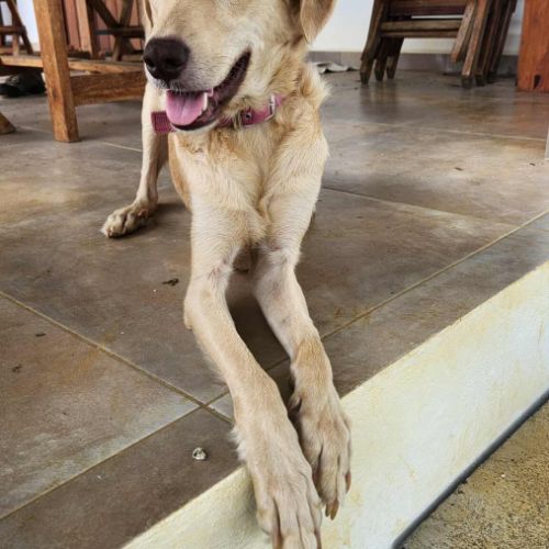 Suzie la belle et douce louloute #4