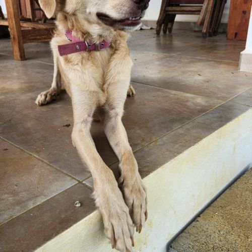 Suzie la belle et douce louloute #5