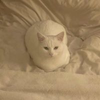 Snow un charmeur professionnel  #5