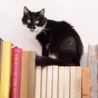 Luison, douce et timide #1