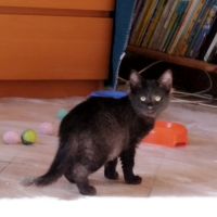 Ninon douce et joueuse