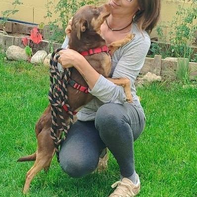 Neon, petit chien d'1 an doux et affectueux #1