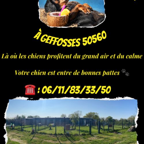 Pension canine ouverte toute l'année #0