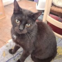 Agalie-adoption en cours #3