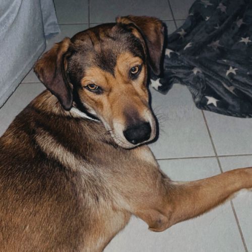 Cherche une famille qui sera prendre soin de moi #2