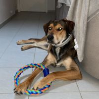 Cherche une famille qui sera prendre soin de moi #0