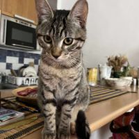 Neptune, aussi câline que joueuse #2