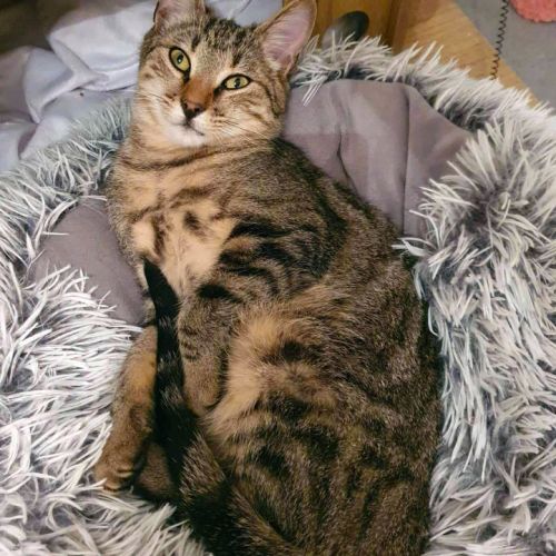 Jungle, calme et câlin