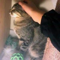 Jungle, calme et câlin #3