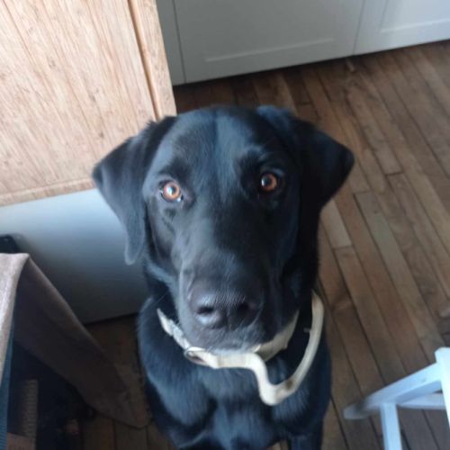 Donne contre bons soins #0