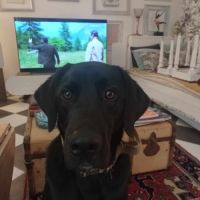 Donne contre bons soins #1