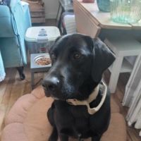 Donne contre bons soins #3