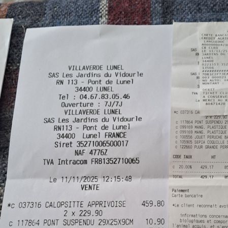 Couple calopsittes apprivoisées cage accessoires #0