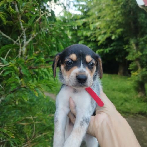 Tiago, bébé fripon #1