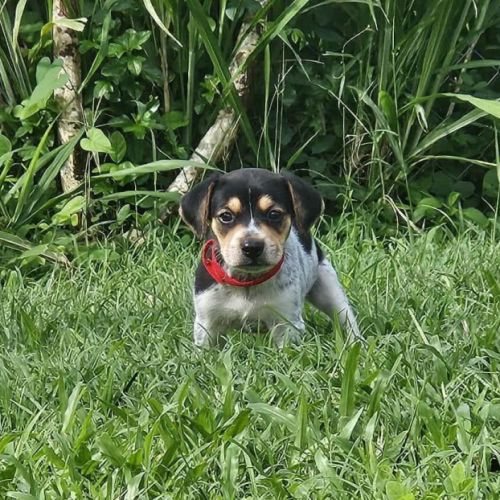 Tiago, bébé fripon #2