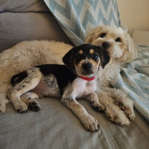 Tiago, bébé fripon #3