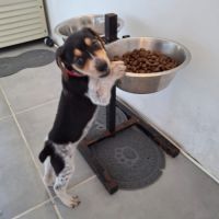 Tiago, bébé fripon