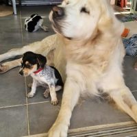 Tiago, bébé fripon #6