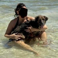 Bobby sans famille #6