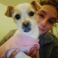 Perla, 3 ans petite chienne douce et adorable