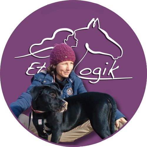 Comportementaliste et enseignante d'équitation