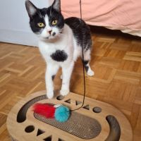 Kawète-adorable junior