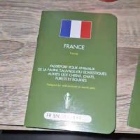 Couple calopsitte avec passeport eam + cage #2