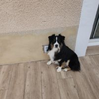 A adopter rao 4 ans #1