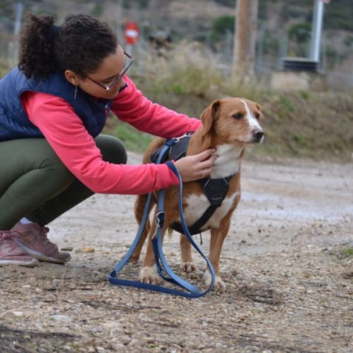 Raya, 9 ans – cherche une vraie famille pour la vi #4
