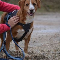 Raya, 9 ans – cherche une vraie famille pour la vi #3