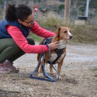 Raya, 9 ans – cherche une vraie famille pour la vi #4