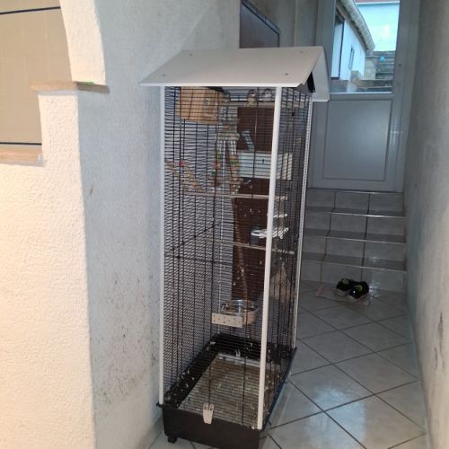 Oiseaux plus cage #0