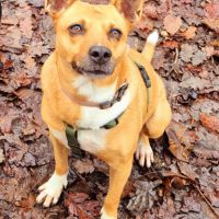 Lucy la tendresse #3