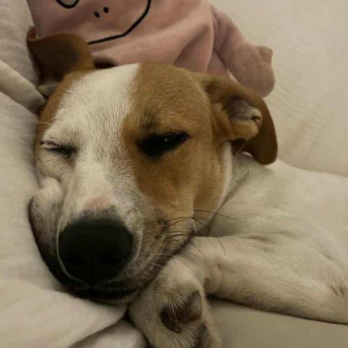 Aby la petite chipie #1