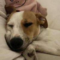 Aby la petite chipie #1