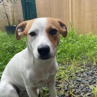 Aby la petite chipie #2