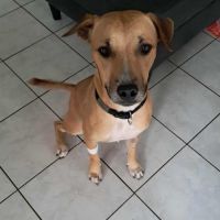 Aïko le survivant si beau #3