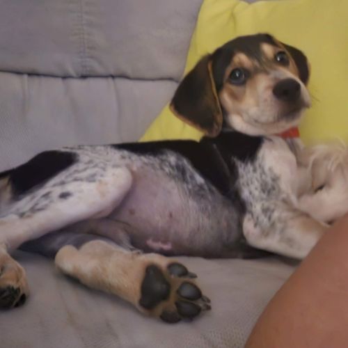 Tiago le petit beau gosse #2