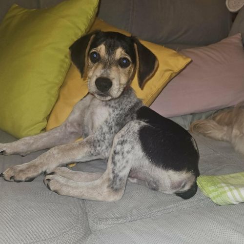 Tiago le petit beau gosse #3