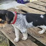 Tiago le petit beau gosse #8