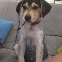 Tiago le petit beau gosse