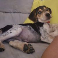 Tiago le petit beau gosse #2