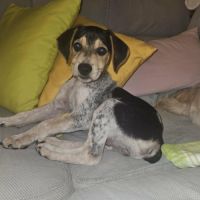 Tiago le petit beau gosse #3