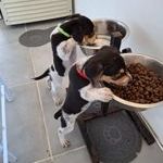 Tiago le petit beau gosse #5