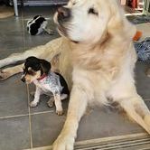 Tiago le petit beau gosse #7