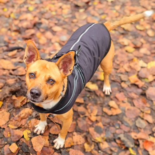 Moi la belle lucy #1