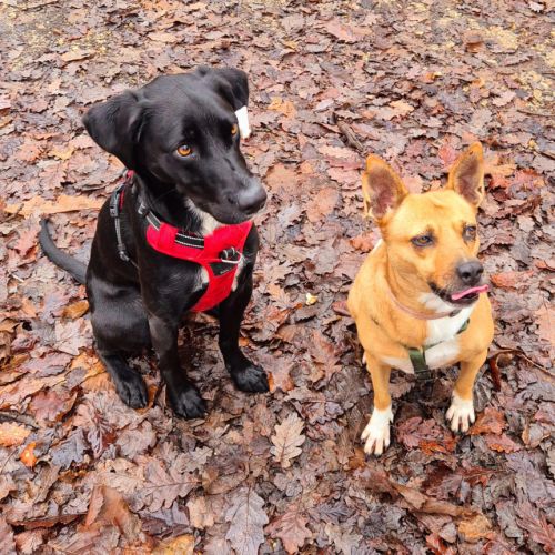 Moi la belle lucy #3